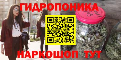 гидра Обнинск