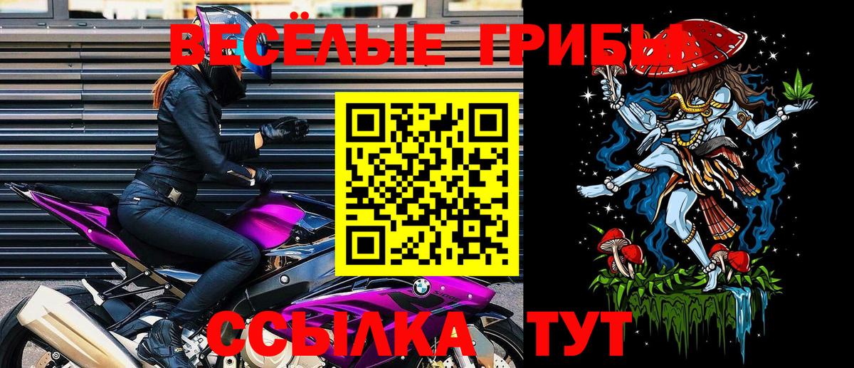 Галлюциногенные грибы Psilocybe Симферополь
