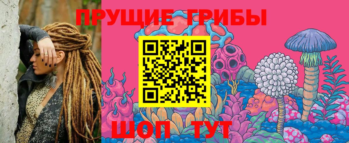 Псилоцибиновые грибы Cubensis  Вход с VPN  Симферополь 